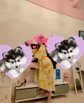 虎门艳儿个人有房可69