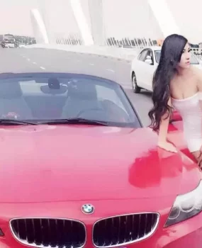 再发一个华豹的